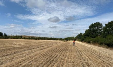 Eku Energy acquires transmission connected 300 MW / 600 MWh Didcot BESS
