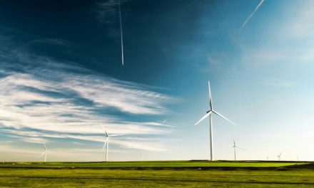 UK Power Networks’ DSO boosts local and national flexibility coordination through Day-Ahead market 