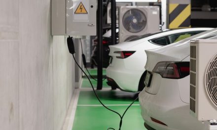 Government announces £650 million Electric Car Grant: Tips for buying the right EV