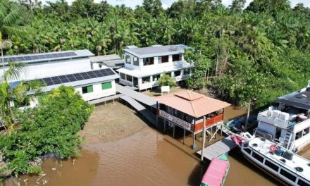 Solar-powered agro-industry in the Amazon reduces dependence on diesel generators