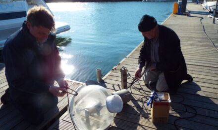 WITT Energy Awarded £350k MoD Contract