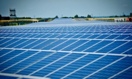 Westcott expands green energy portfolio with landmark solar project