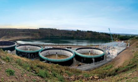 GFD ramps up efforts to decarbonise Scottish farming with fully funded AD proposal