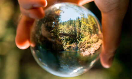 UK Power Networks works with Carbon Trust to set science-based targets