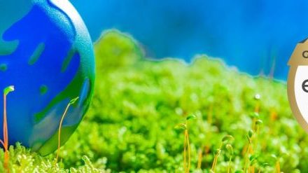 Essentra Components awarded Gold Medal for Sustainability by EcoVadis