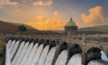 Maximising hydroelectric profitability as the sun sets on subsidies