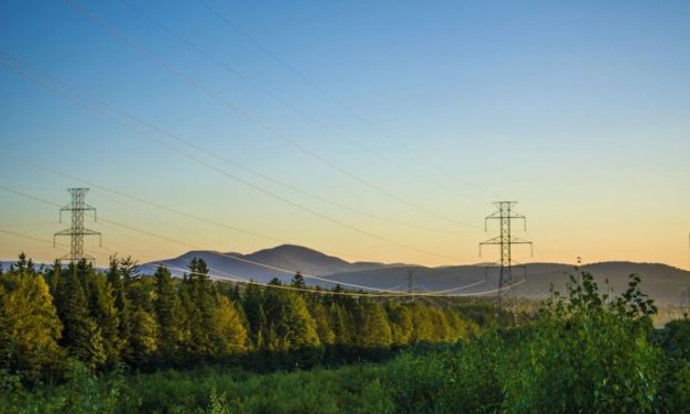 IoT and Industrial AI-led power grids: The secret intelligence weapon on the utility frontline and in the workforce toolkit