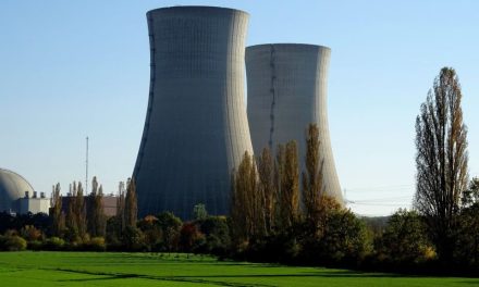 Why the stringent regulations of the nuclear industry mean that plant managers still favour analogue excitation systems over digital