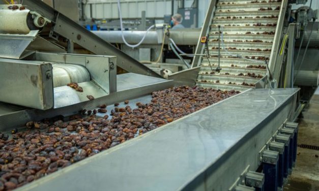 Daikin Rental Solutions: Is your food factory ready for the next heatwave?