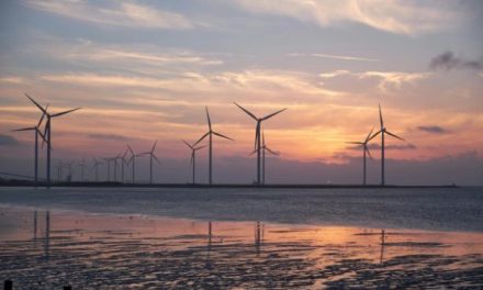 UK’s leading experts call for urgent action to decarbonise by 2050