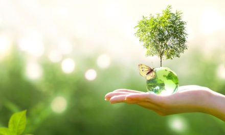 Energy Management re-launches as Energy & Sustainability Solutions