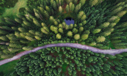 Environmental responsibility through improved efficiency 