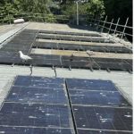 Cleaning solar panels could boosts output by up to 16.6%, says Absolar