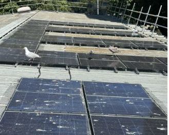 Cleaning solar panels could boosts output by up to 16.6%, says Absolar