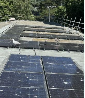 Cleaning solar panels could boosts output by up to 16.6%, says Absolar