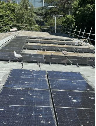 Cleaning solar panels could boosts output by up to 16.6%, says Absolar