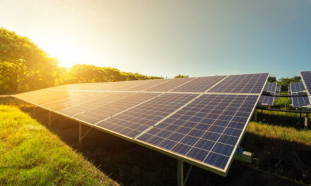 Solar farm boom in East of England