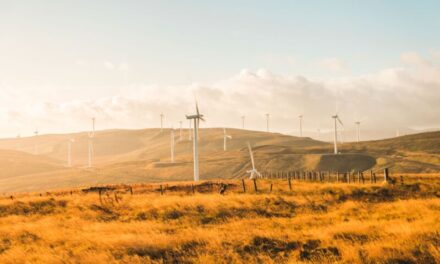  SSE unveils 100% renewable electricity contract as standard for business customers as it launches ‘SSE Energy Solutions’ brand